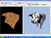 Cattle Hereford Head_DISP PE.jpg