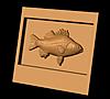 fish_model_from_Sculpy_Clay.jpg