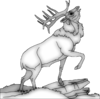 ELK on the Rock_22vectorized_DISP-.png