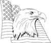 eagle-flag.png