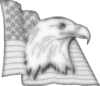 eagle-flag_DISP.png