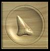 Shark Tooth.jpg