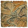 Painting from the Chauvet Cave large Cats 7a.jpg