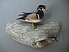 Click image for larger version. 

Name:	Wood Duck - Pair On Log.jpg 
Views:	46 
Size:	70.9 KB 
ID:	48189