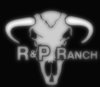 ranch_vectorized_DISP.png
