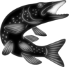 Northern pike-fish-26ib_vectorized_DISP+.png