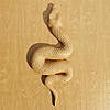 snake totem.jpg