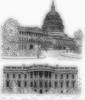 W House and USyuapitol images_vectorized_DISP (2).jpg