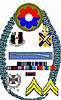 Click image for larger version. 

Name:	military_awards.jpg 
Views:	41 
Size:	136.4 KB 
ID:	39844