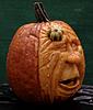 Click image for larger version. 

Name:	Pumpkin23.jpg 
Views:	43 
Size:	68.3 KB 
ID:	48567