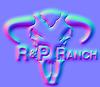 ranch_vectorized_NORM.jpg