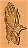 praying hands4-ptn.jpg