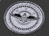 2019-03-27 12_36_35-Blender_ [D__Blender 3d_Blender use pictures_CW Naval Air Command logo.blend.png