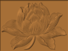 lotus.PNG