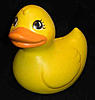 Click image for larger version. 

Name:	rubber_duck_bank_large.jpg 
Views:	12 
Size:	8.5 KB 
ID:	62796