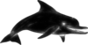 dolphin-17-coloring-page_vectorized_DISP+.png