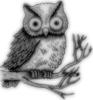 2 owl-drawing_DISP.bmp