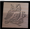 2 owl-drawing_DISP-cw.PNG