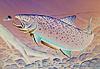 %22Brook-Trout%22.jpg