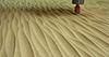 Click image for larger version. 

Name:	creating_wavy_surface_patterns.jpg 
Views:	49 
Size:	41.0 KB 
ID:	82455
