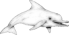 dolphin-17-coloring-page_vectorized_DISP-.png