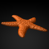 Starfish33x325_1_iso.png