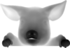 pig on fence.png