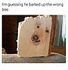 wood dog.jpg