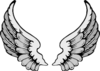 Angel_wings_7212.png