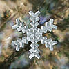 snowflake example2 small.jpg