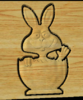 bunny3.PNG