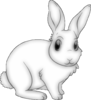 Easter Bunny-4_vectorized_DISP-.png