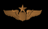 USAF_PILOTE_WINGS_SENIOR.PNG