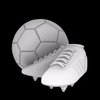 soccer ball and shoes.png