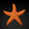 Starfish33x325_1_front.png