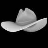 beatup cowboy hat.png