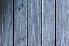 grey_wood_texture_scale_grain_plank_stock_wallpape_by_texturex_com-d7r2yz4.jpg