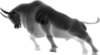 Bull Taurus.png