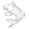 catfish render linedrawing.jpg