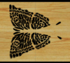 Click image for larger version. 

Name:	Butterly pattern screenshot.PNG 
Views:	16 
Size:	308.2 KB 
ID:	66610