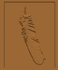 CW feather.png