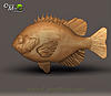 render2_bluegill.jpg