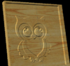Click image for larger version. 

Name:	Owl1Capture.PNG 
Views:	33 
Size:	241.6 KB 
ID:	73903
