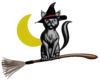 Halloween Cat.png