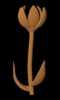 tulip 1a.PNG