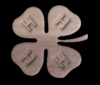 4 H LOGO+cw - inv.PNG