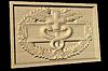 Combat Medical Badge3_DISP-cw.jpg