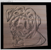 Rottweiler face 54 _DISP-cw.PNG