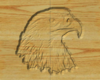 Eagle head.PNG