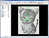 Kitty_tracing_during_testing.jpg